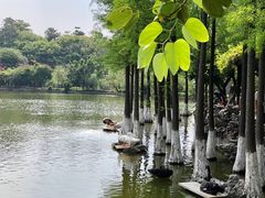 -东莞市可园博物馆