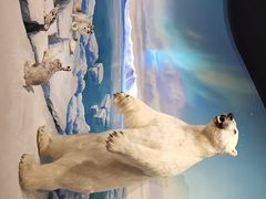 -陕西自然博物馆