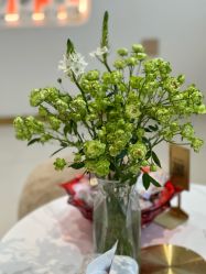 -WENDY·温迪皮肤管理