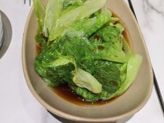 -MR鹅外