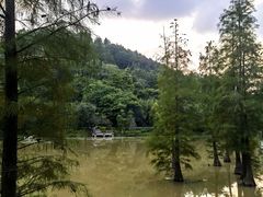 -神光山国家森林公园