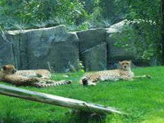 -北京野生动物园