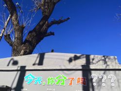 -北京俪婴妇产医院(朝阳大悦城店)