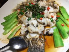 鲜花椒蒸桂花鲈-猪肉婆私房菜(容桂总店)