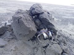 -台山黑沙湾海浴场