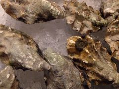 -杭州钱江新城万怡酒店-西餐厅