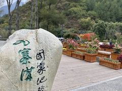 -九寨沟-树正沟