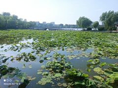 -济南大明湖景区