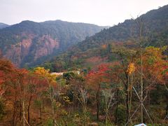 -广州市石门国家森林公园
