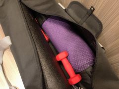 -南京禄口机场雅高铂尔曼大酒店