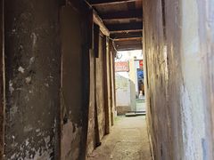 -乌镇东栅景区