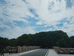 -海珠湖公园