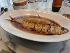 新派酥姜煎鲥鱼-海味观(老西门店)