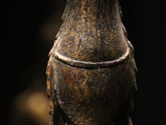 -辽宁省博物馆