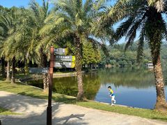 -深圳仙湖植物园