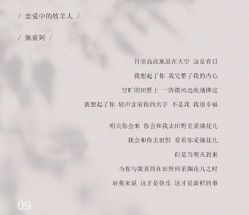 -金禧婚礼定制
