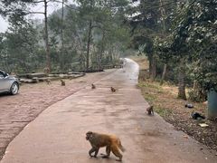 -重庆雨台山风景区