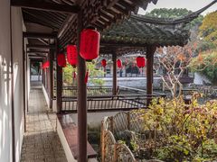 -上海醉白池公园