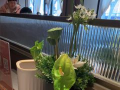 -老家水饺濮阳菜(巴黎街店)