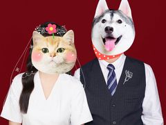 -海马体照相馆|大师(武汉光谷K11店)