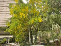 -深圳湾公园(南山区)
