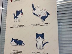 -悦宠凯宝动物医院·牙科·皮肤科(朝阳北路店)