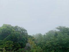 -海南铜鼓岭景区
