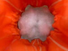 -方回春堂(拱宸桥店)