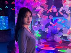 -合肥海洋世界