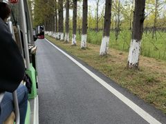 -黄海国家森林公园