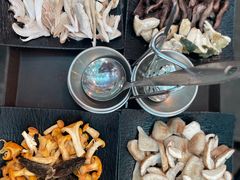 -蘑统田下·野生菌火锅