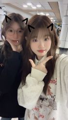 -蚂蚁造型俱乐部