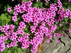 -恒生商业广场(上丰店)