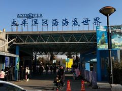 -太平洋海底世界