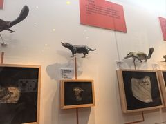 -国家自然博物馆