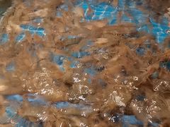 -星伦多自助料理(江阴万达店)