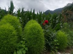 -秦岭终南山世界地质公园翠华山景区