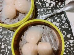-金香匯晚茶(浑南店)