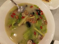 鸡汁云耳浸凉瓜青-朱仔记食府(江南大道店)