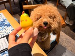 -图味美小黄鱼·景德菜(浙江路店)