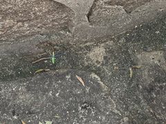 -碓臼峪自然风景区