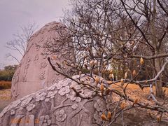 -上海共青森林公园