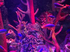 -沈阳海洋探索中心