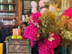 -The Grounds of Alexandria