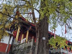 -金堂县云顶石城风景区