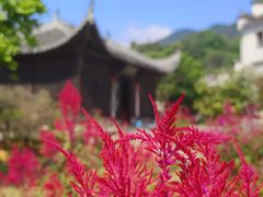 -塔川景区