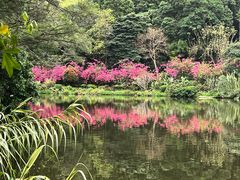 -深圳仙湖植物园