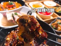 麻辣坑腩-新仙清汤牛腩(铜锣湾店)