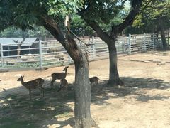 -西安秦岭野生动物园