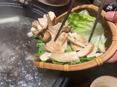 -滇野云南野生菌餐厅(陕西南路店)